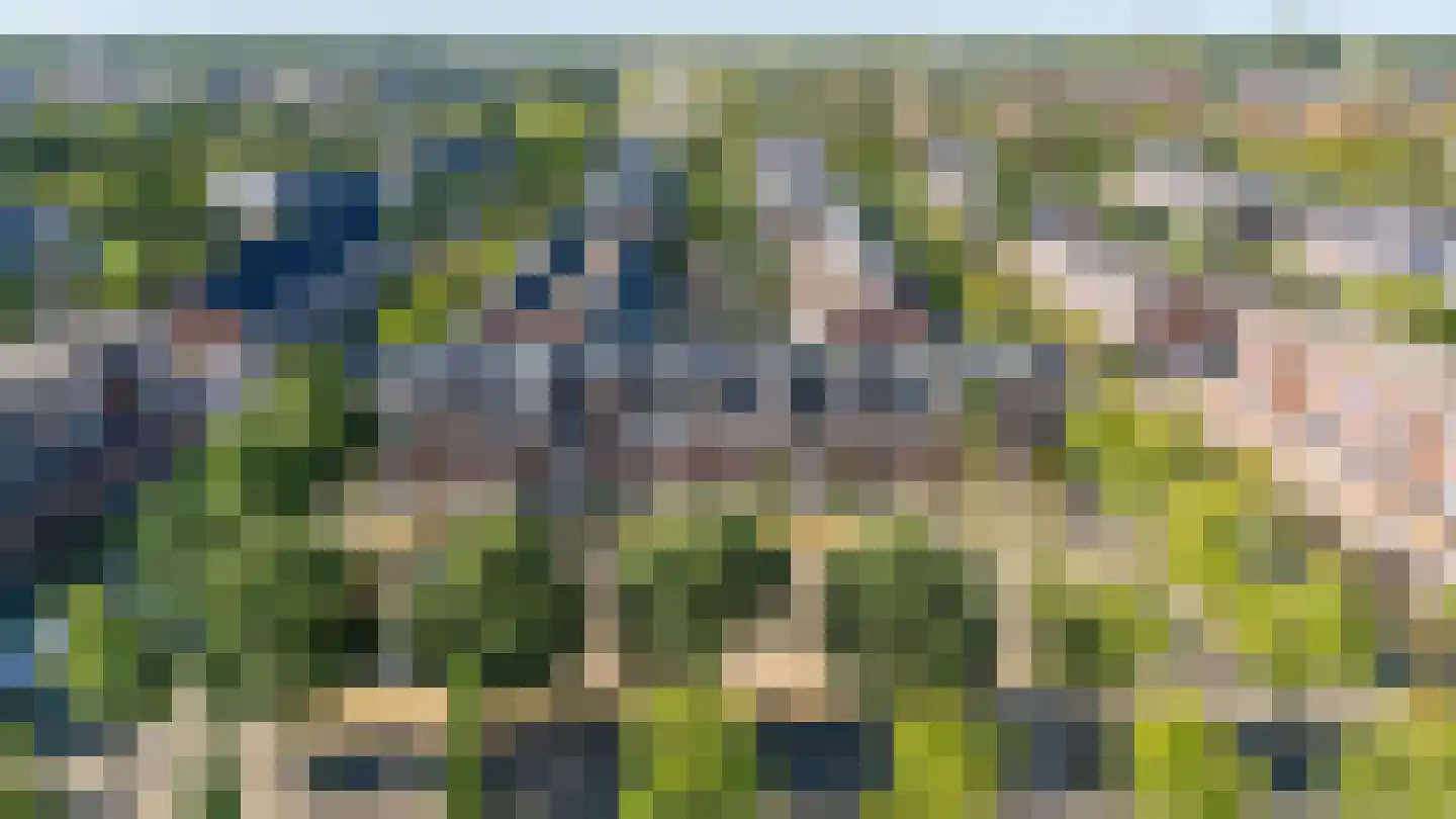 Vedergraslaan 48 Vleuten thumbnail 5