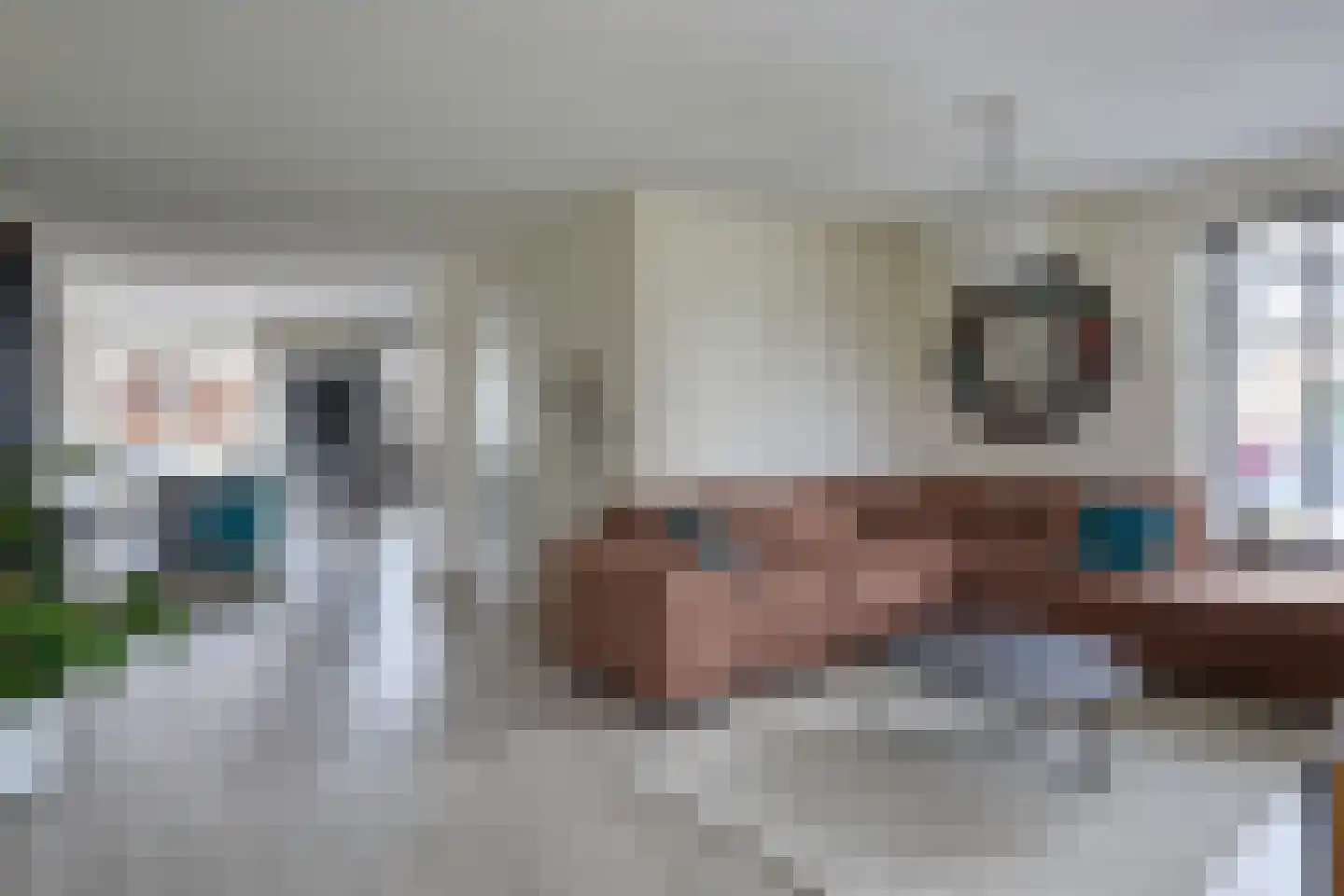 Vederkruid 1 Meerstad thumbnail 22
