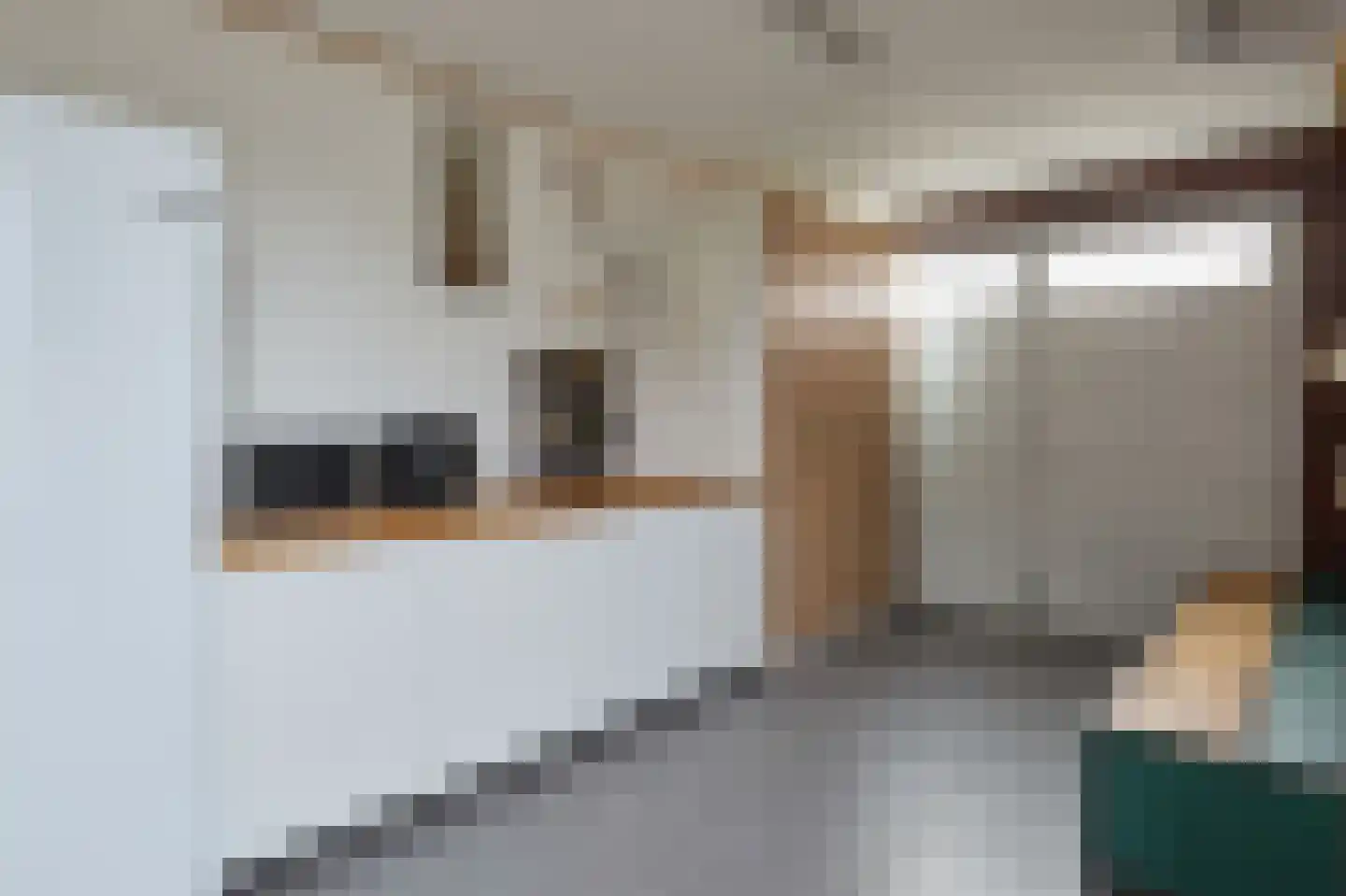 Vederkruid 1 Meerstad thumbnail 29