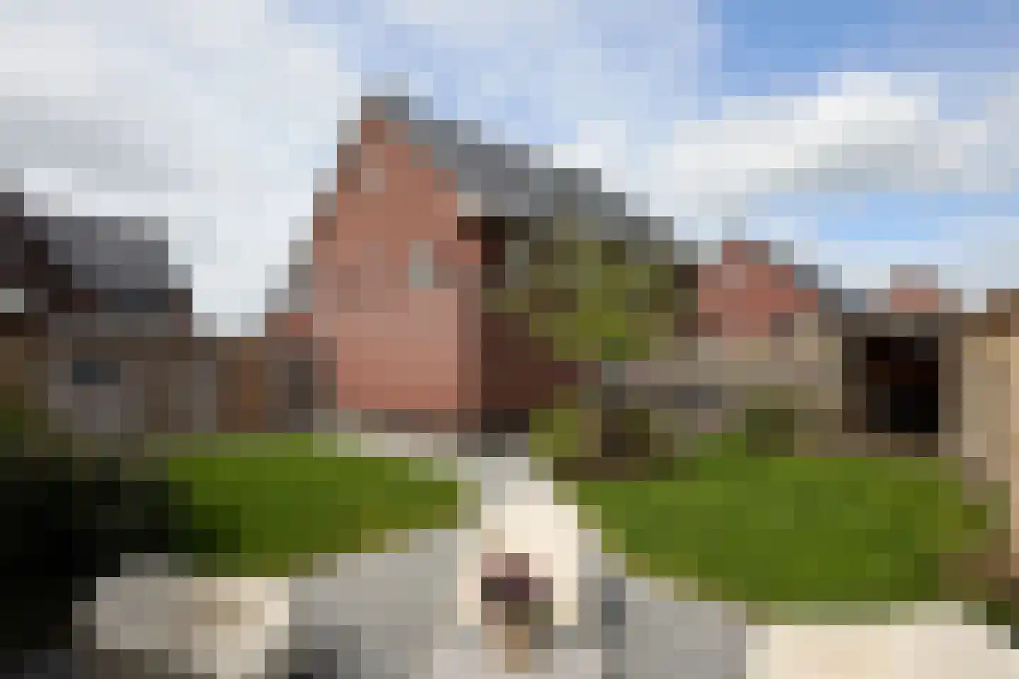 Vederkruid 1 Meerstad foto 3