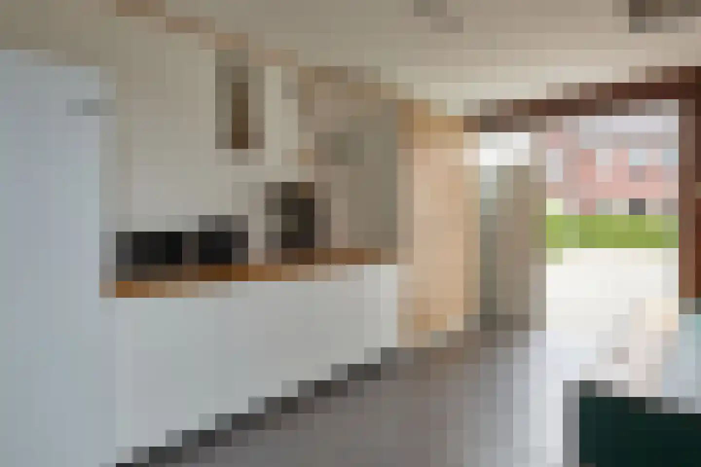 Vederkruid 1 Meerstad thumbnail 30
