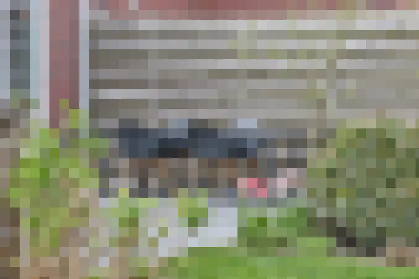 Vederkruid 1 Meerstad thumbnail 35