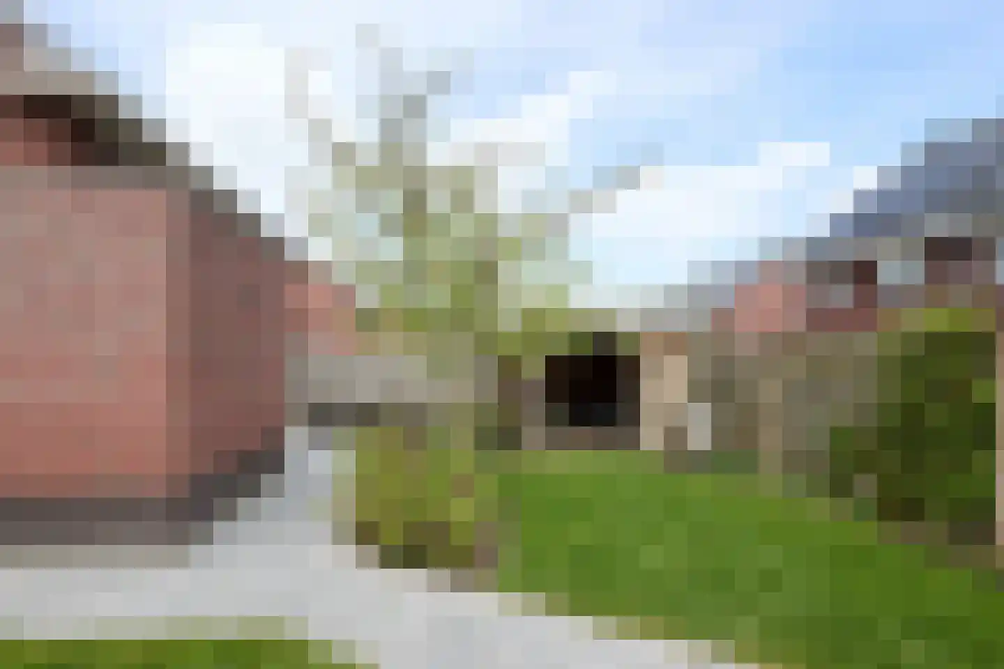 Vederkruid 1 Meerstad thumbnail 37