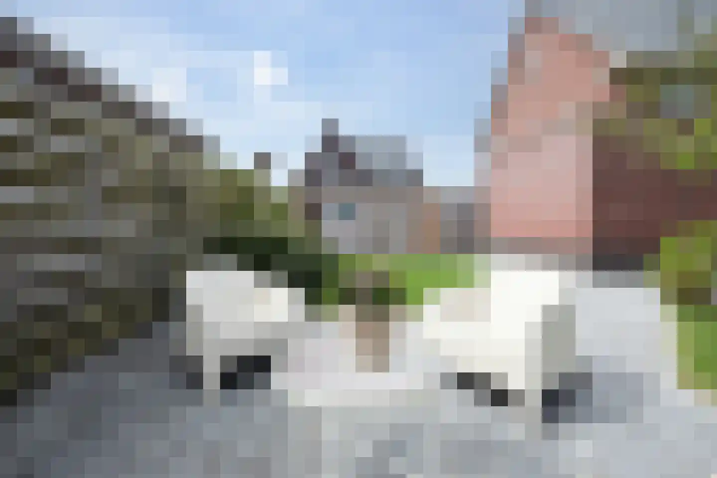 Vederkruid 1 Meerstad thumbnail 38