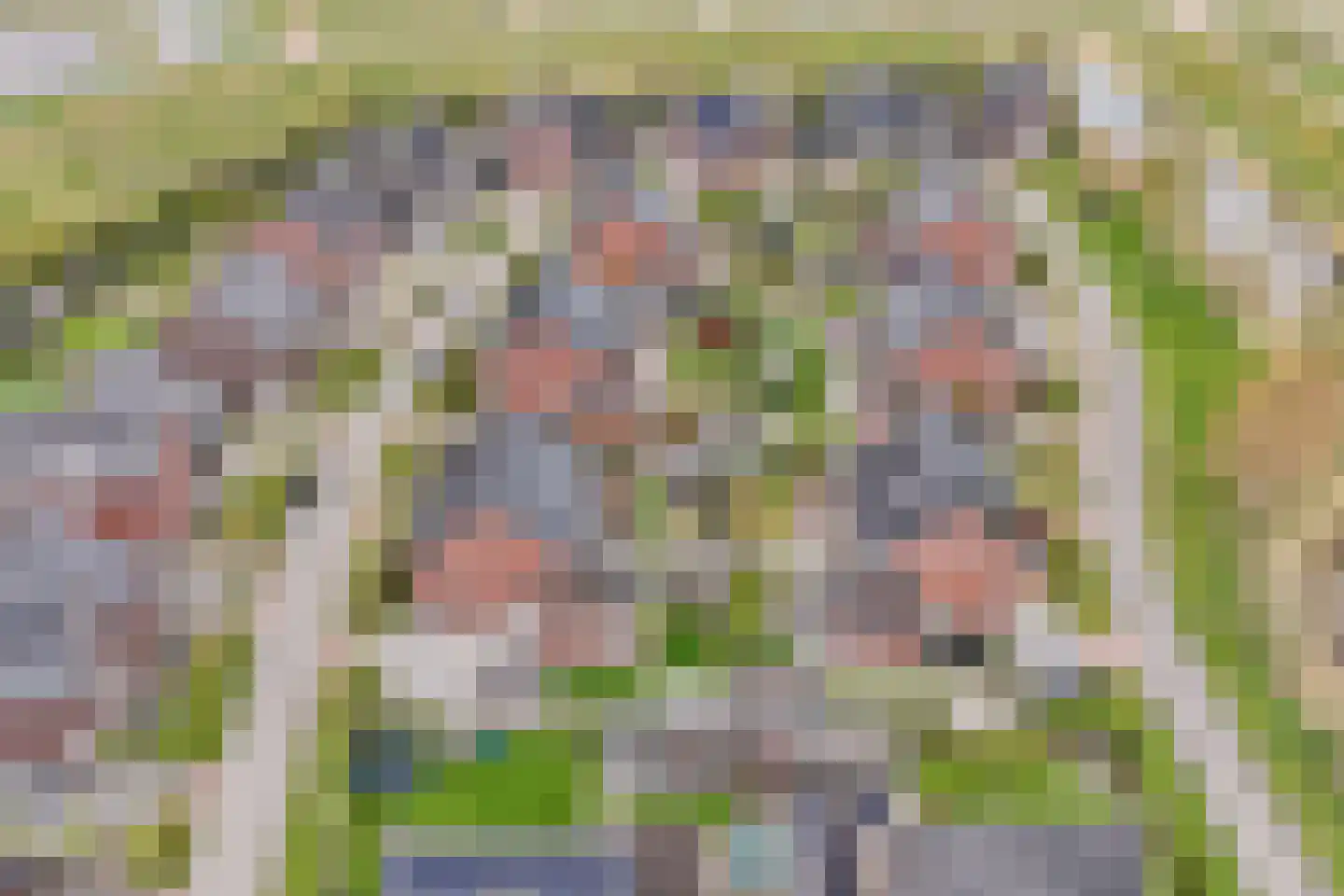 Vederkruid 1 Meerstad thumbnail 40