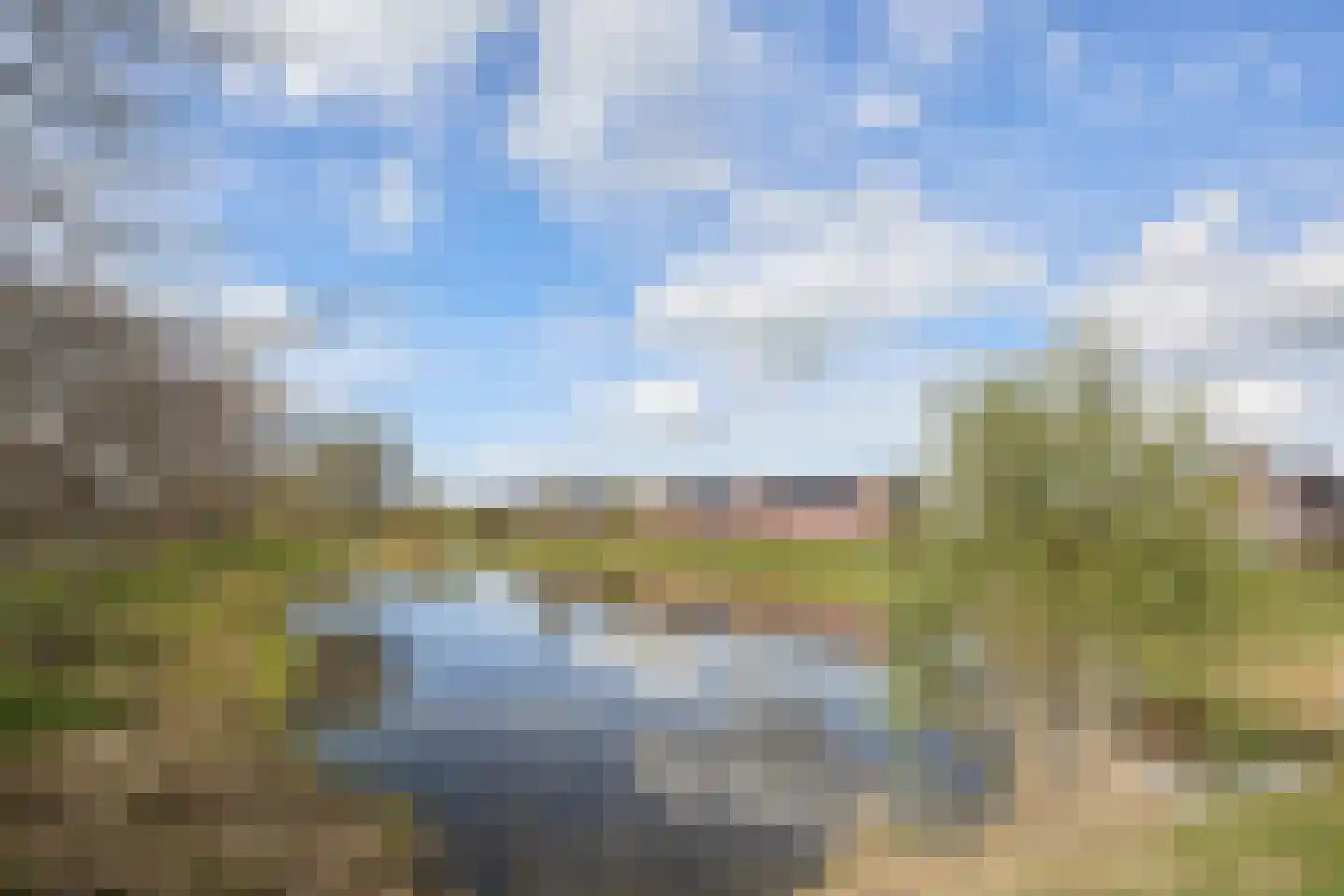 Vederkruid 1 Meerstad thumbnail 59