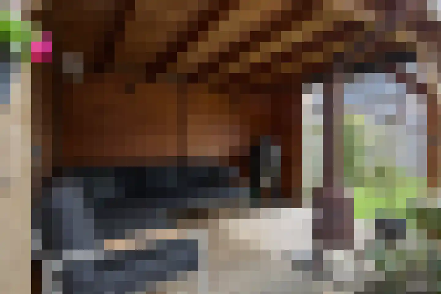 Vederkruid 1 Meerstad thumbnail 6