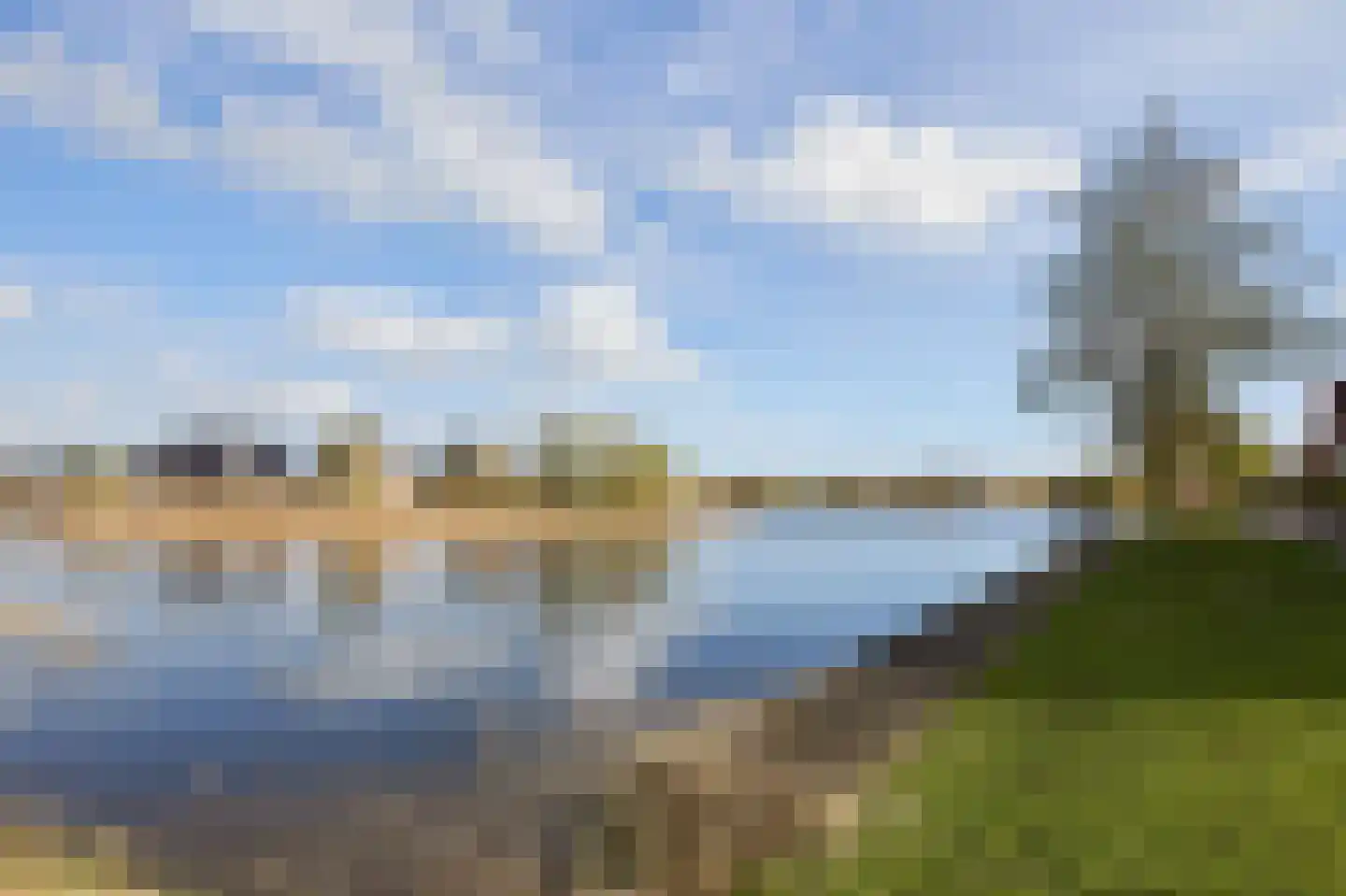 Vederkruid 1 Meerstad thumbnail 60