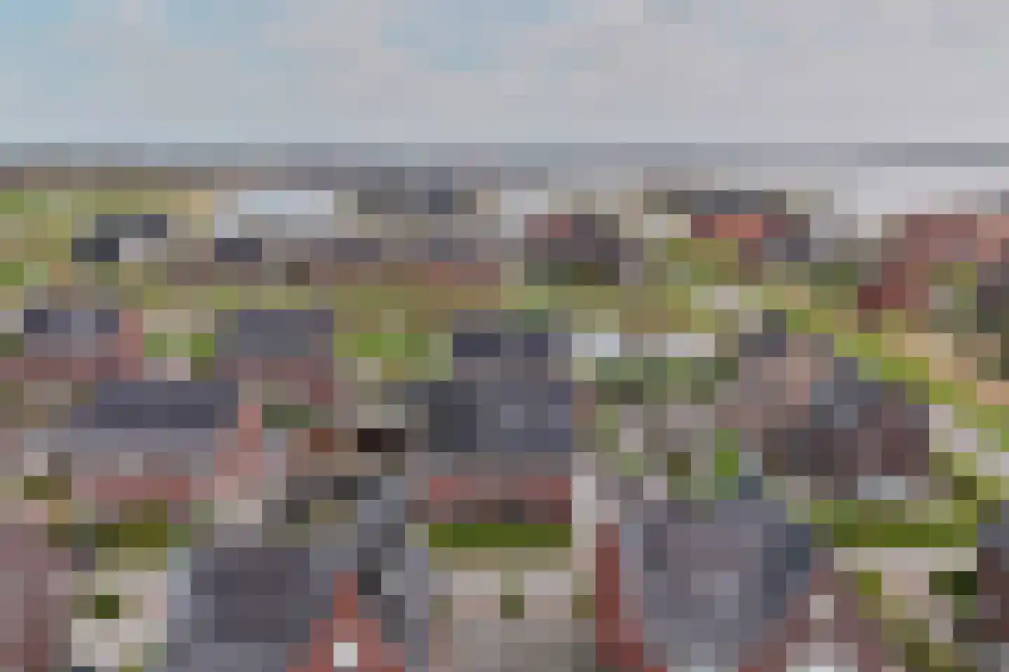 Vederkruid 1 Meerstad thumbnail 64