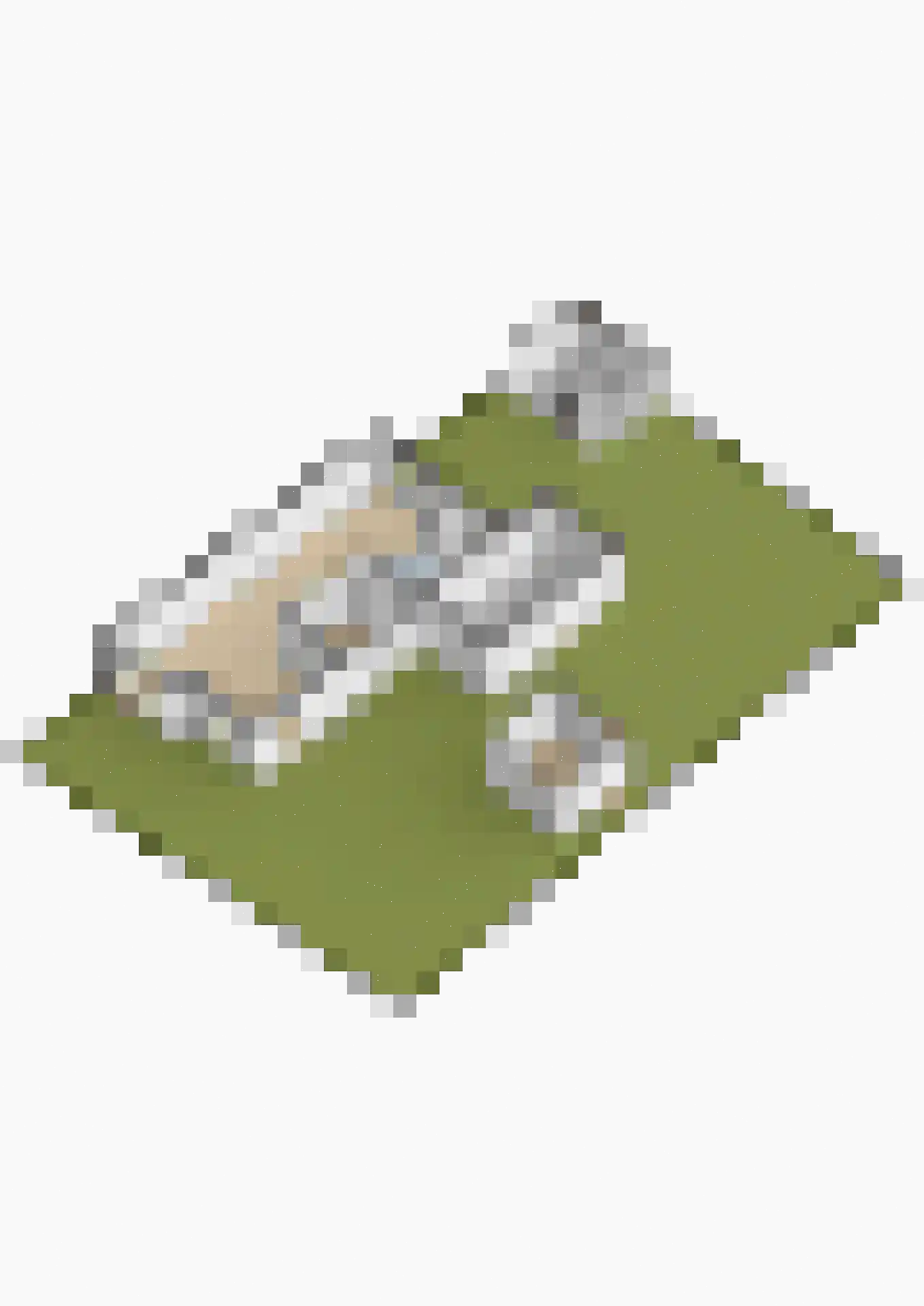 Vederkruid 1 Meerstad thumbnail 79