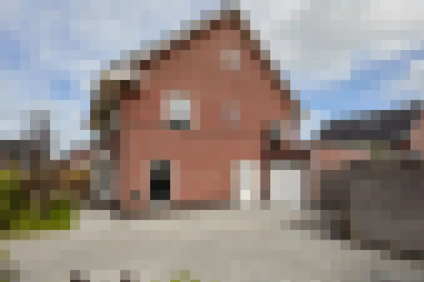 Vederkruid 1 Meerstad thumbnail 9