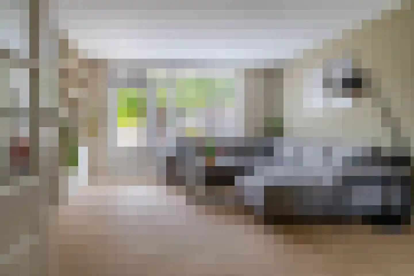 Vederkruid 42 Krimpen aan den IJssel thumbnail 10