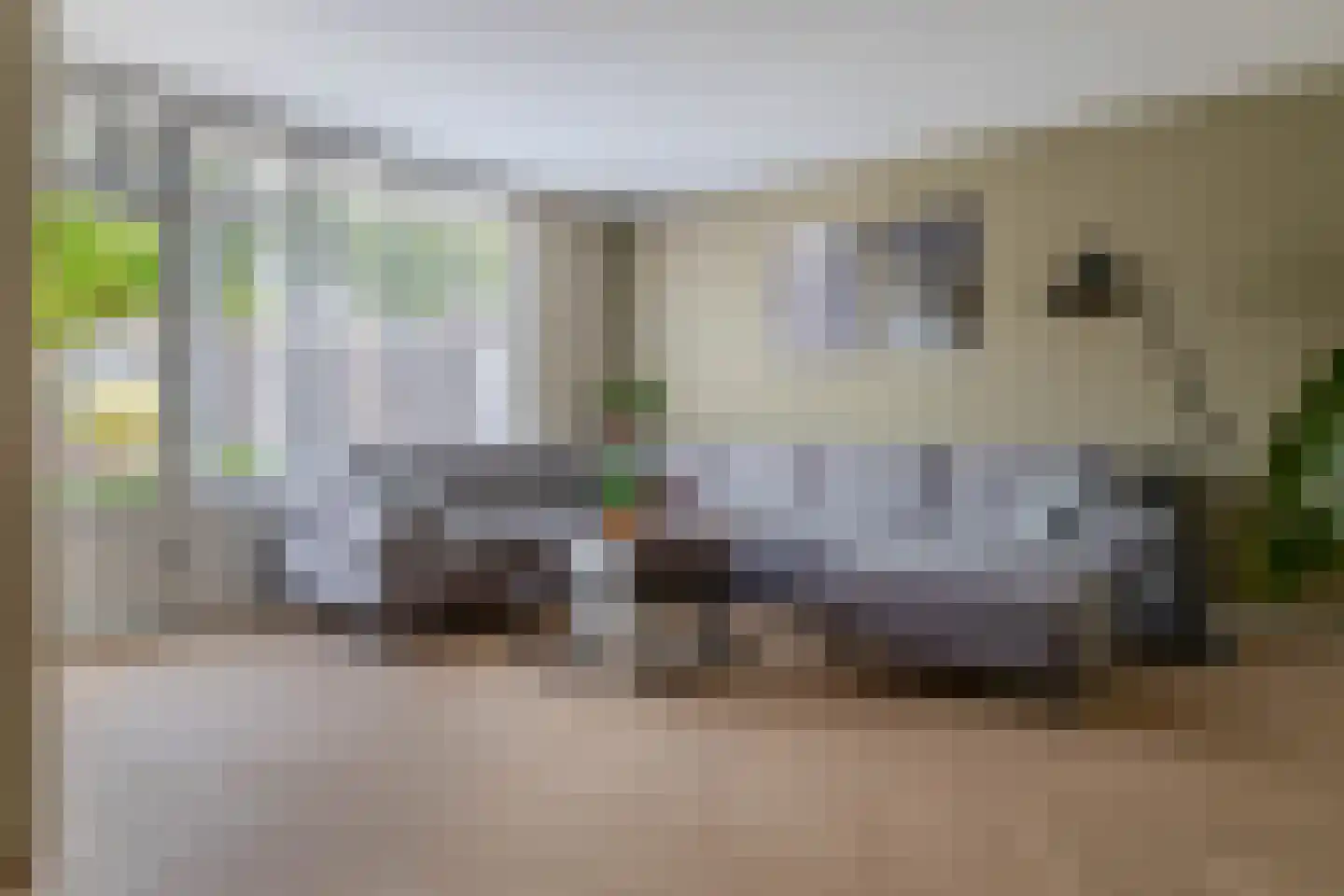 Vederkruid 42 Krimpen aan den IJssel thumbnail 12