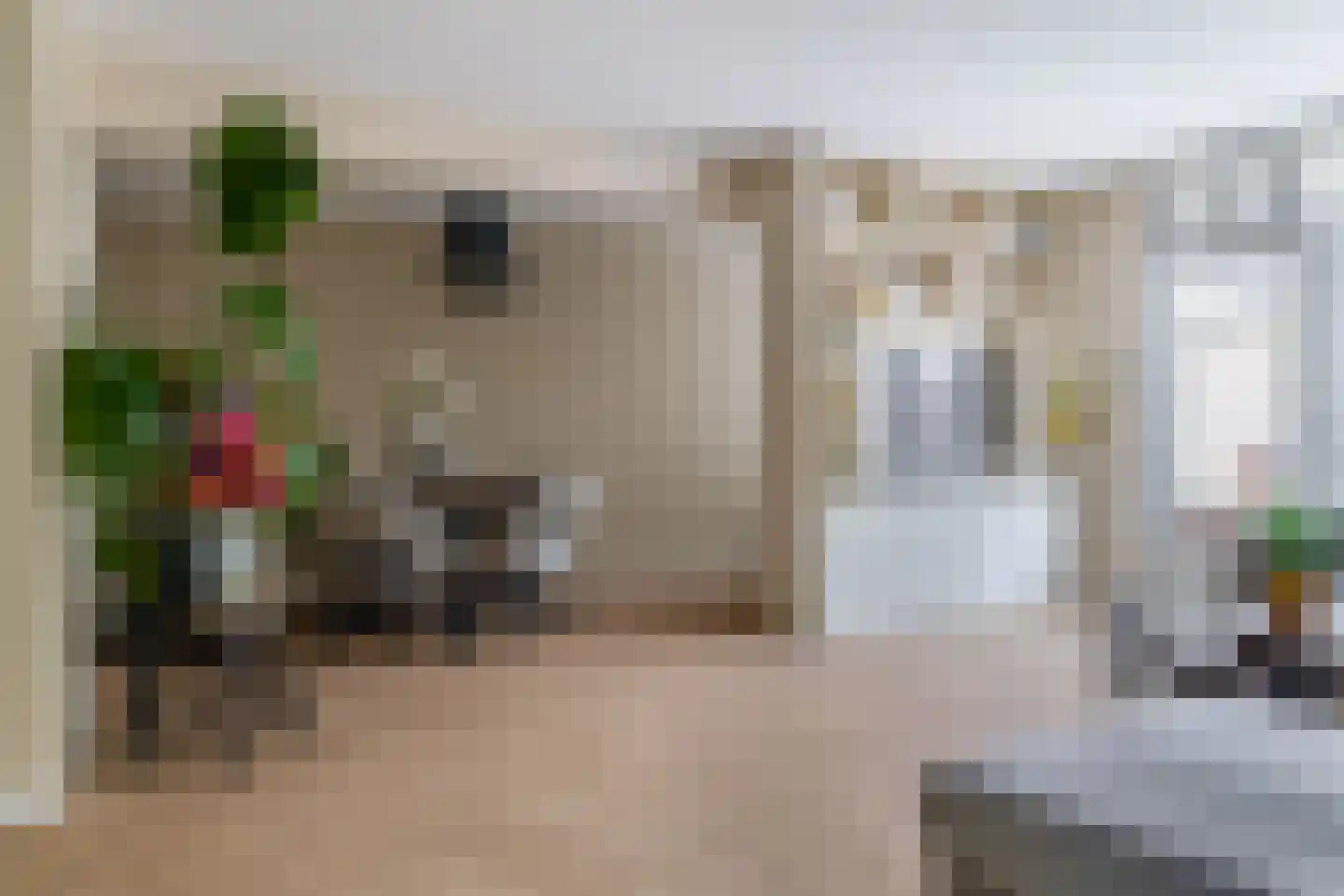 Vederkruid 42 Krimpen aan den IJssel thumbnail 13