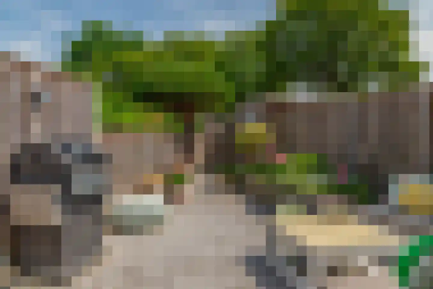 Vederkruid 42 Krimpen aan den IJssel thumbnail 23
