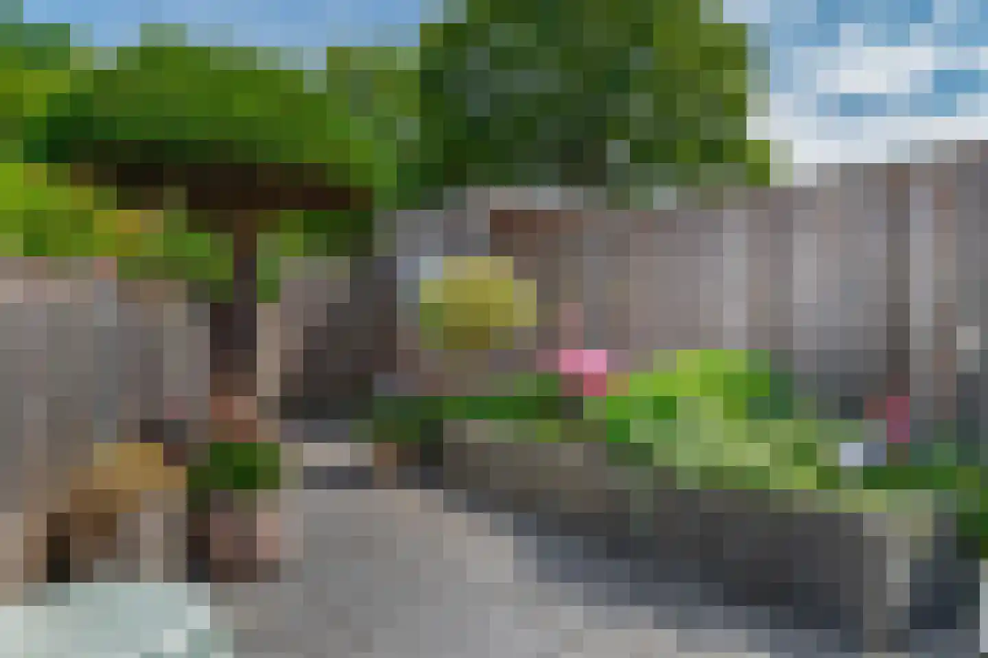 Vederkruid 42 Krimpen aan den IJssel thumbnail 24