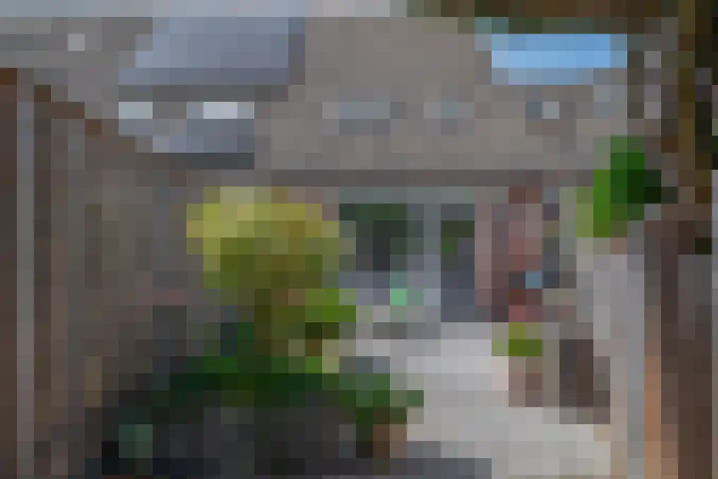 Vederkruid 42 Krimpen aan den IJssel thumbnail 25