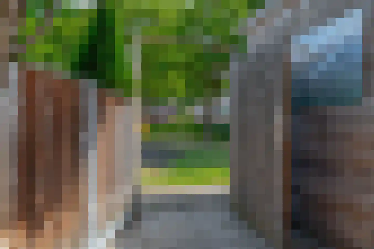 Vederkruid 42 Krimpen aan den IJssel thumbnail 27