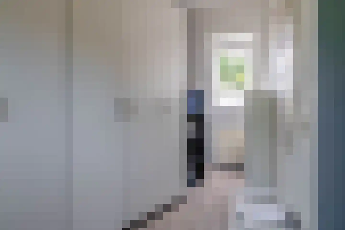 Vederkruid 42 Krimpen aan den IJssel thumbnail 36