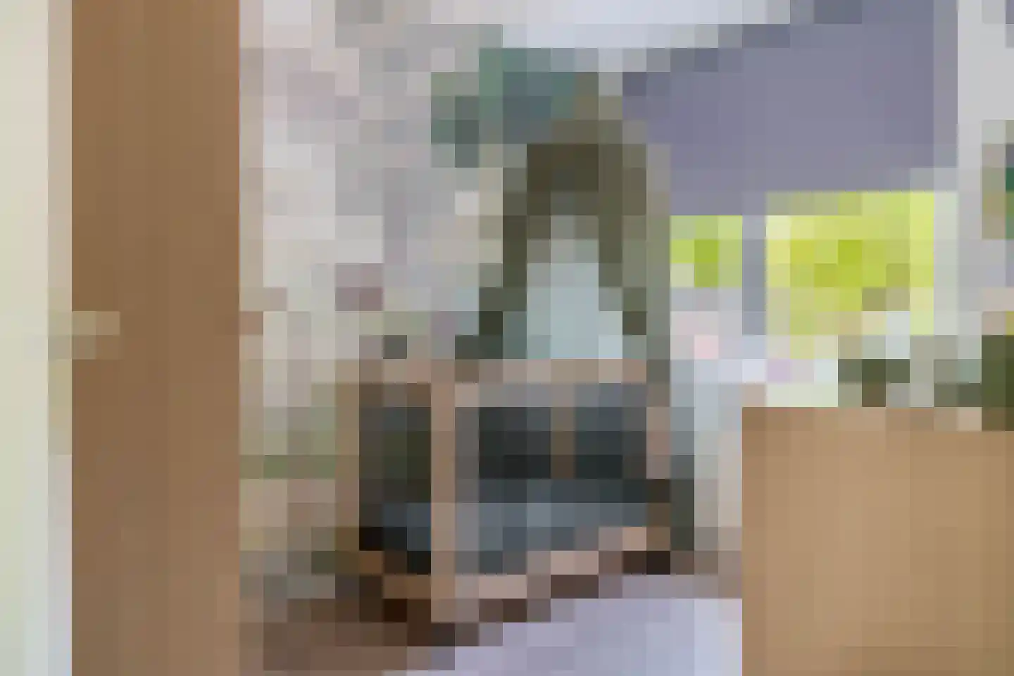 Vederkruid 42 Krimpen aan den IJssel thumbnail 38