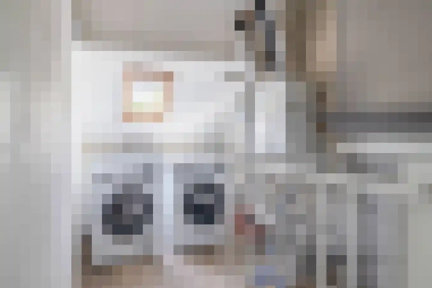 Vederkruid 42 Krimpen aan den IJssel thumbnail 40