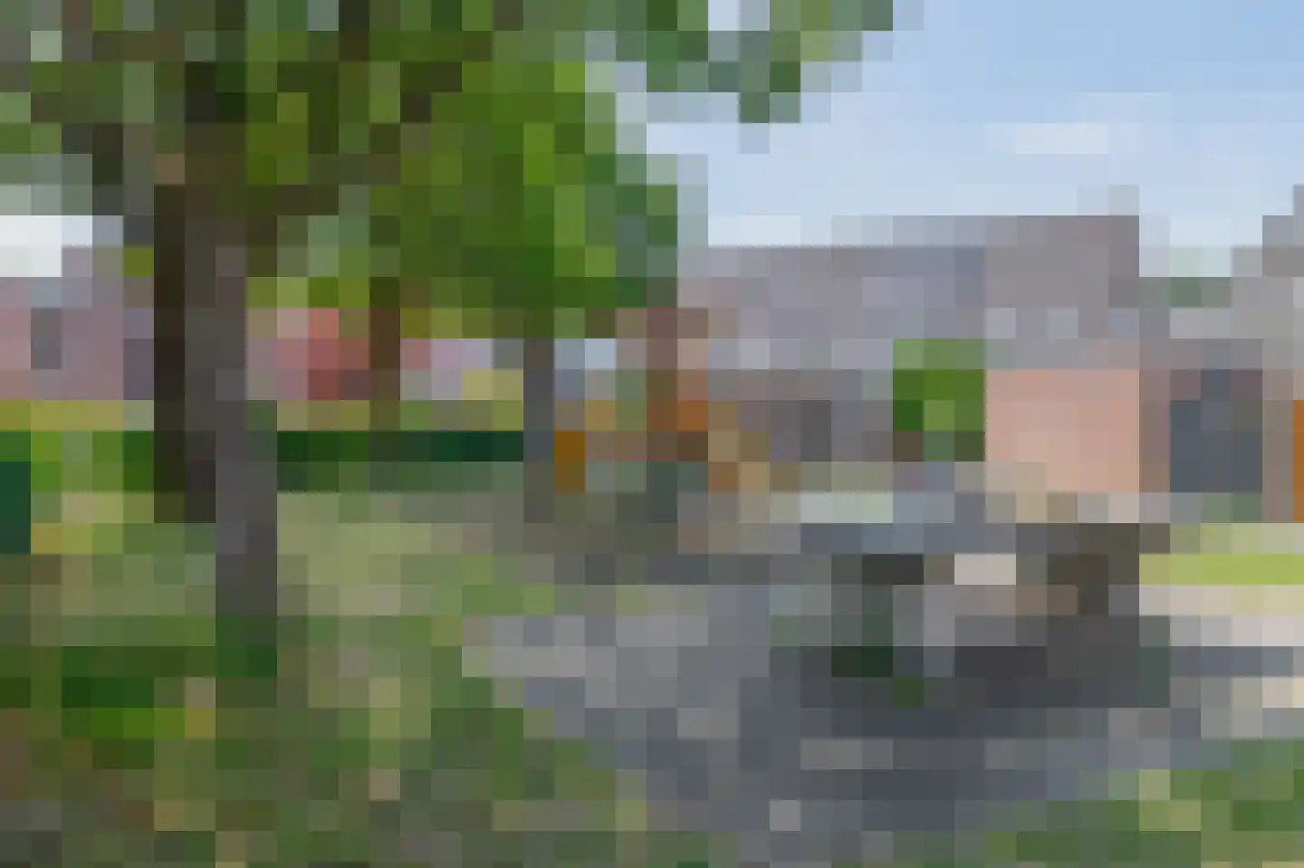Vederkruid 42 Krimpen aan den IJssel thumbnail 45