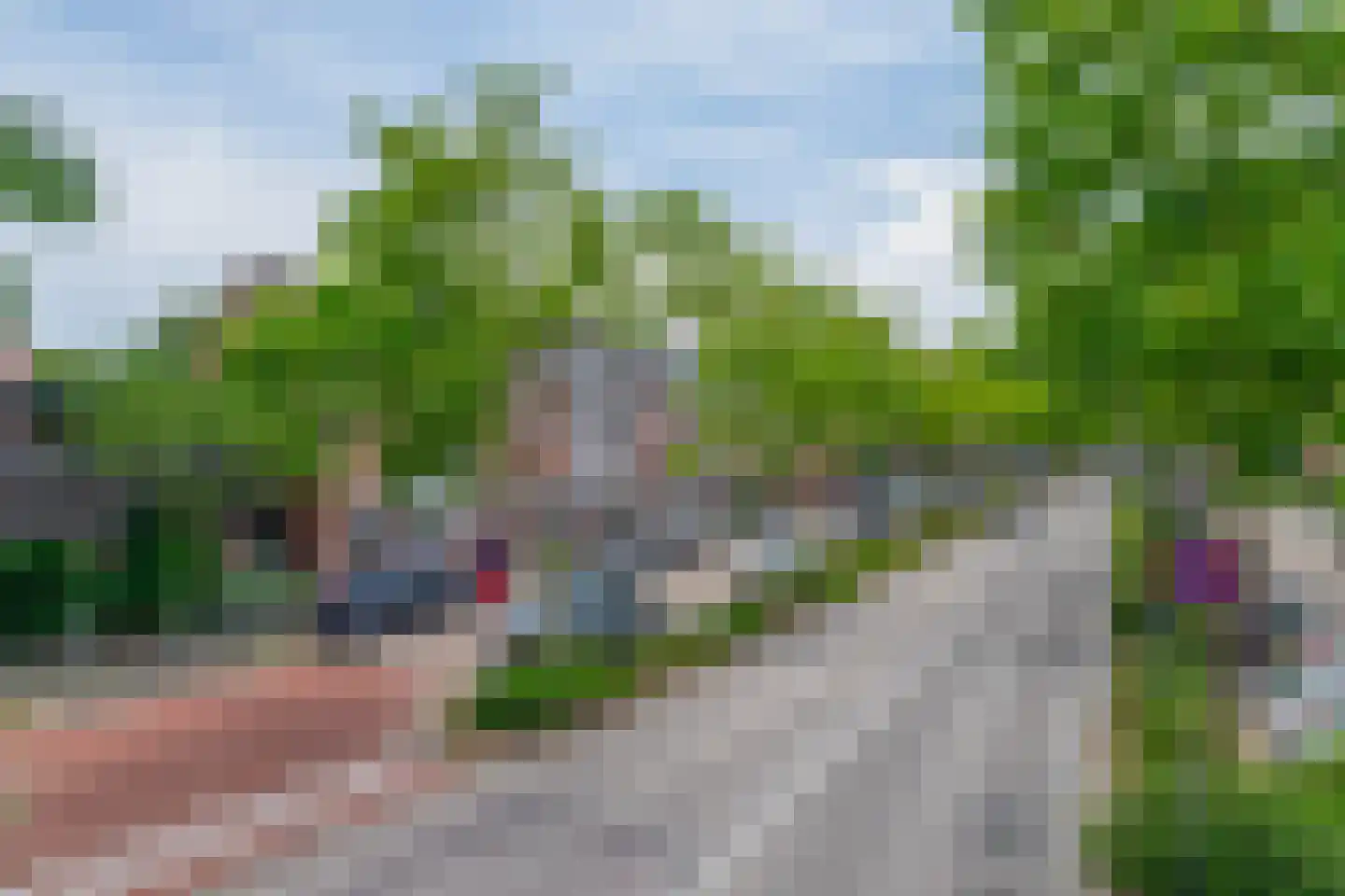 Vederkruid 42 Krimpen aan den IJssel thumbnail 47