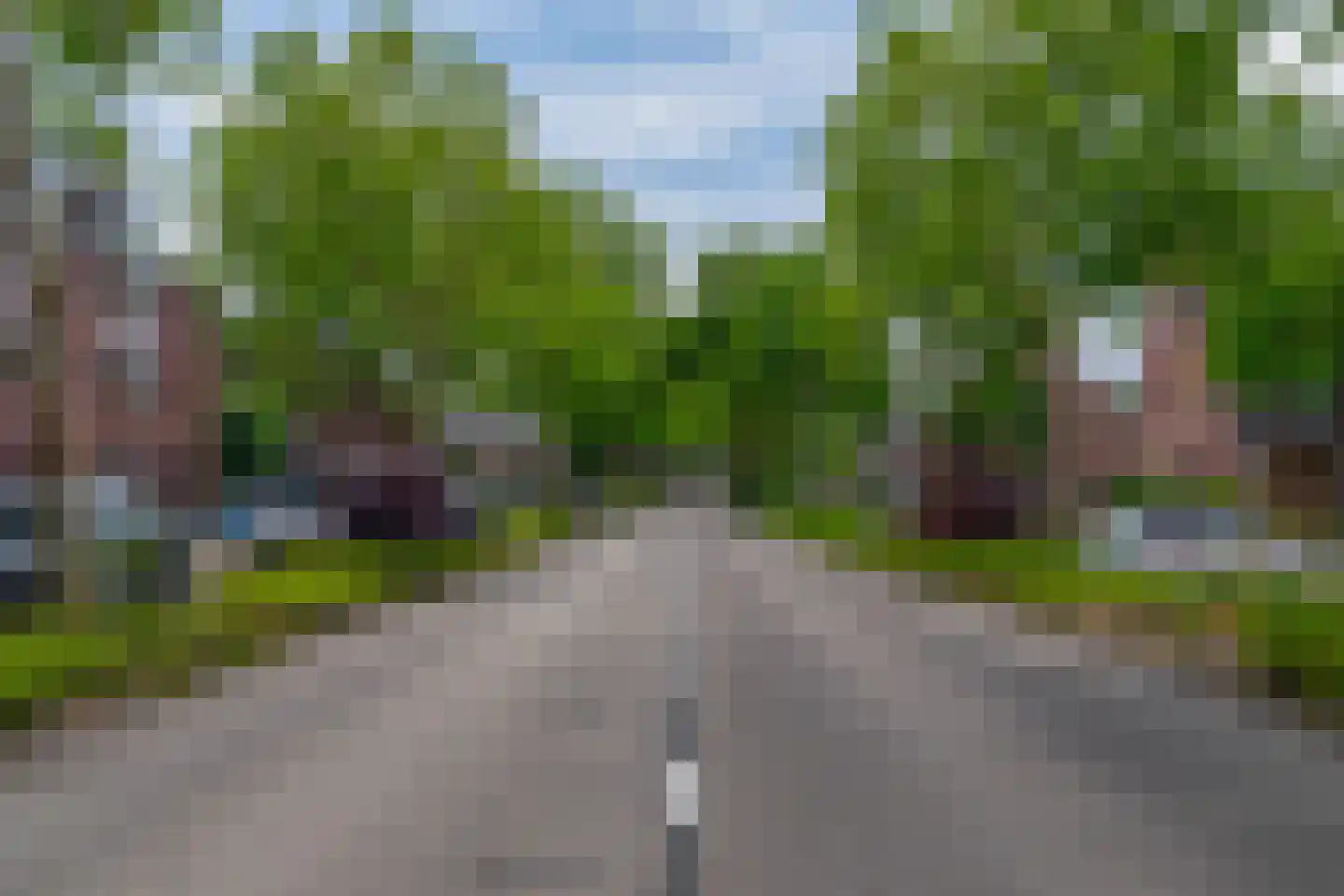 Vederkruid 42 Krimpen aan den IJssel thumbnail 48