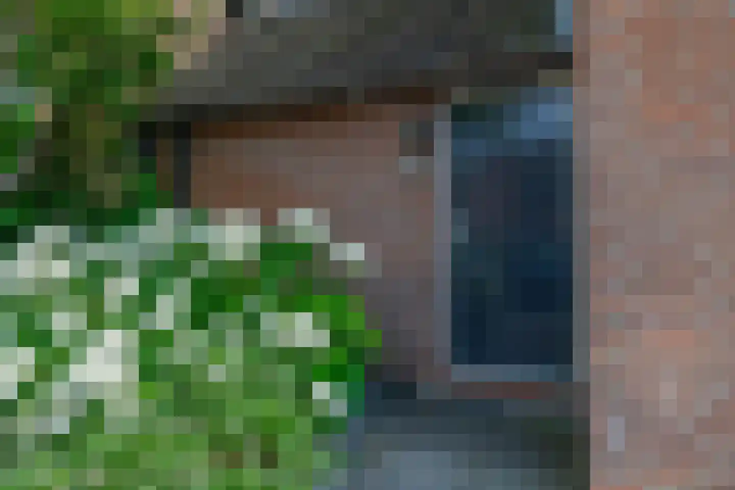 Vederkruid 42 Krimpen aan den IJssel thumbnail 6