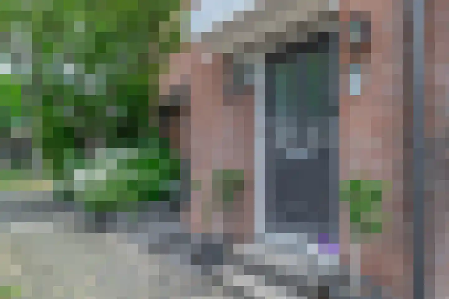 Vederkruid 42 Krimpen aan den IJssel thumbnail 7