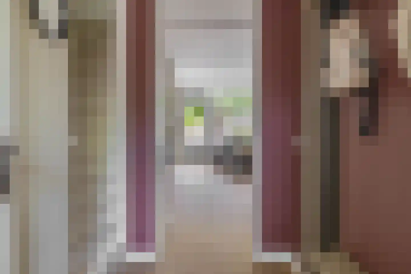 Vederkruid 42 Krimpen aan den IJssel thumbnail 9