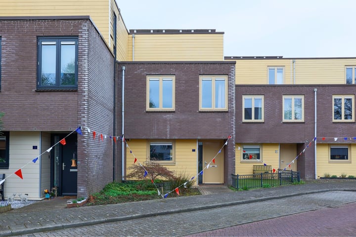 Vederkruid 7 in Nijverdal Foto