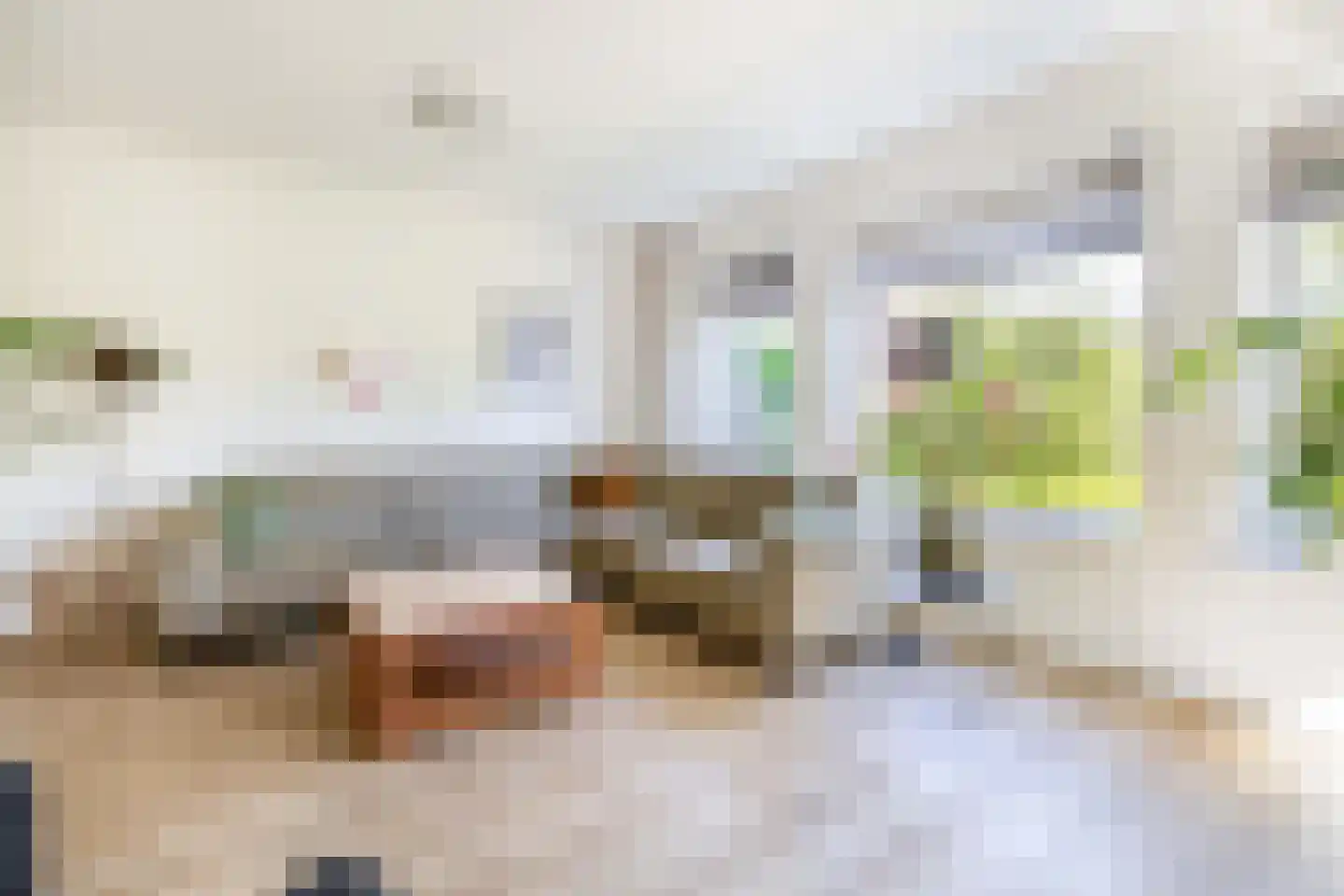 Vederkruid 8 Meerstad thumbnail 14
