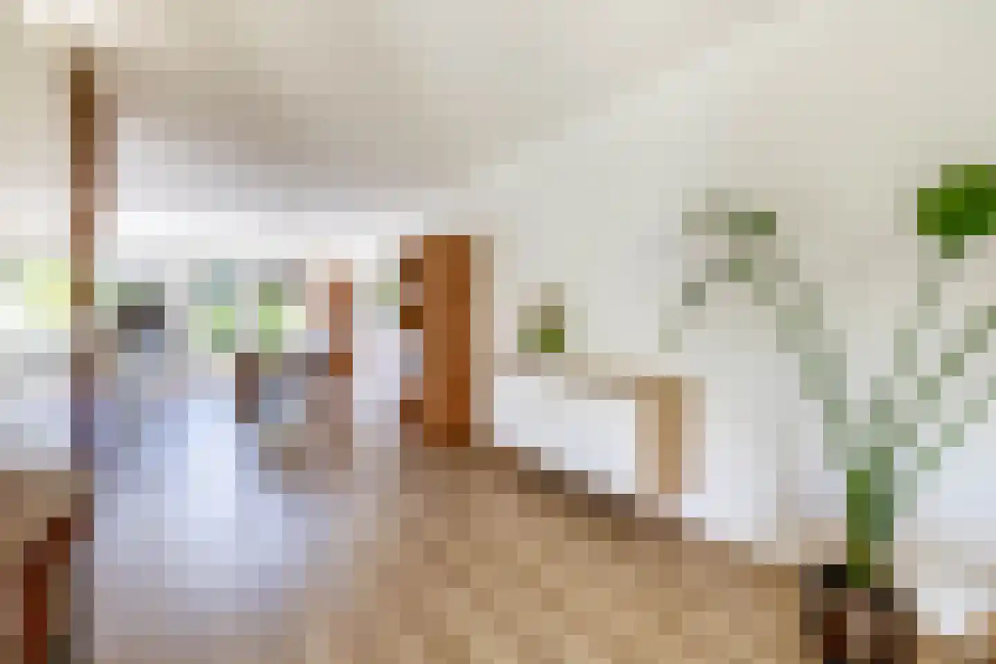 Vederkruid 8 Meerstad thumbnail 16