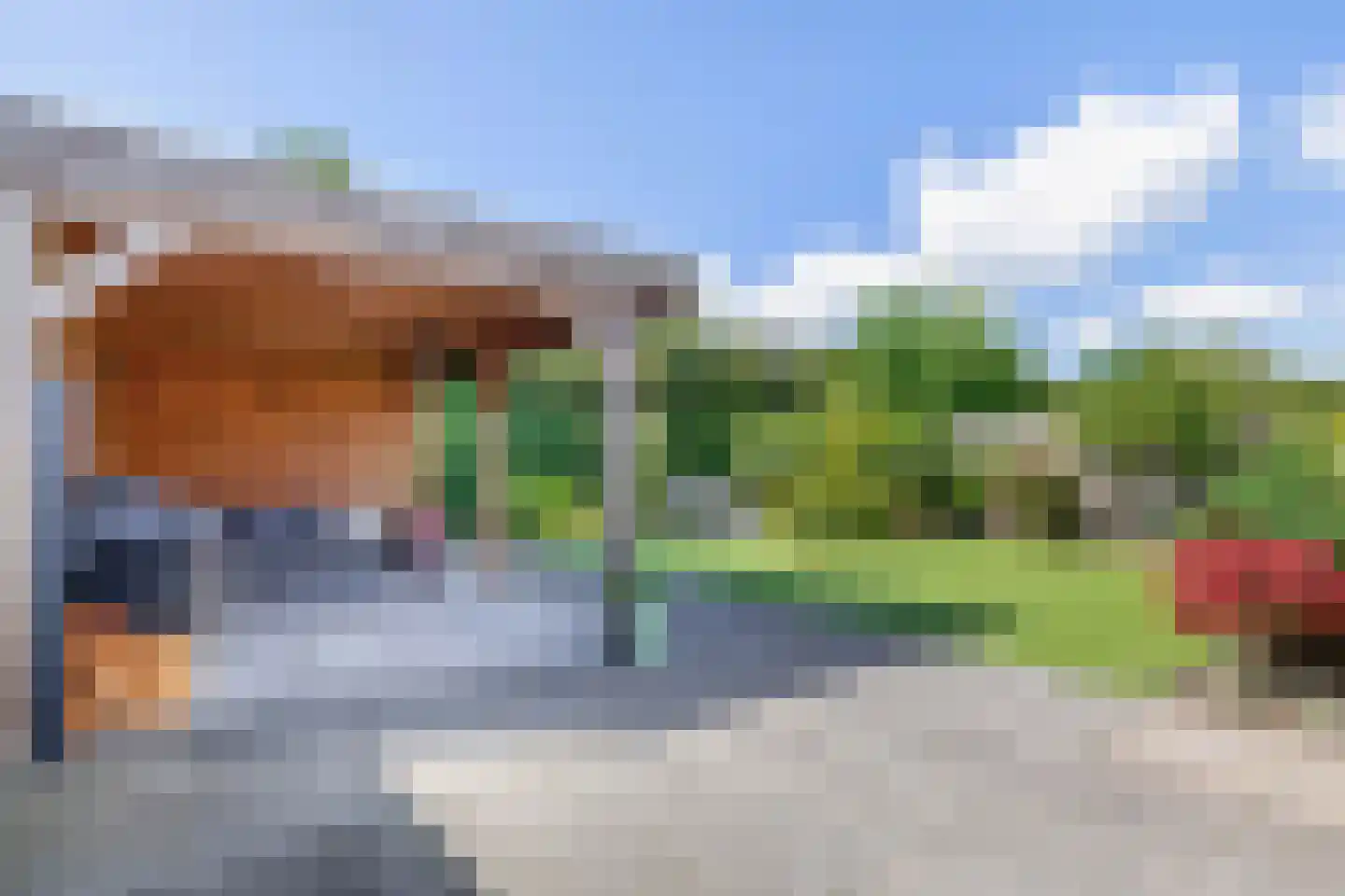 Vederkruid 8 Meerstad thumbnail 26