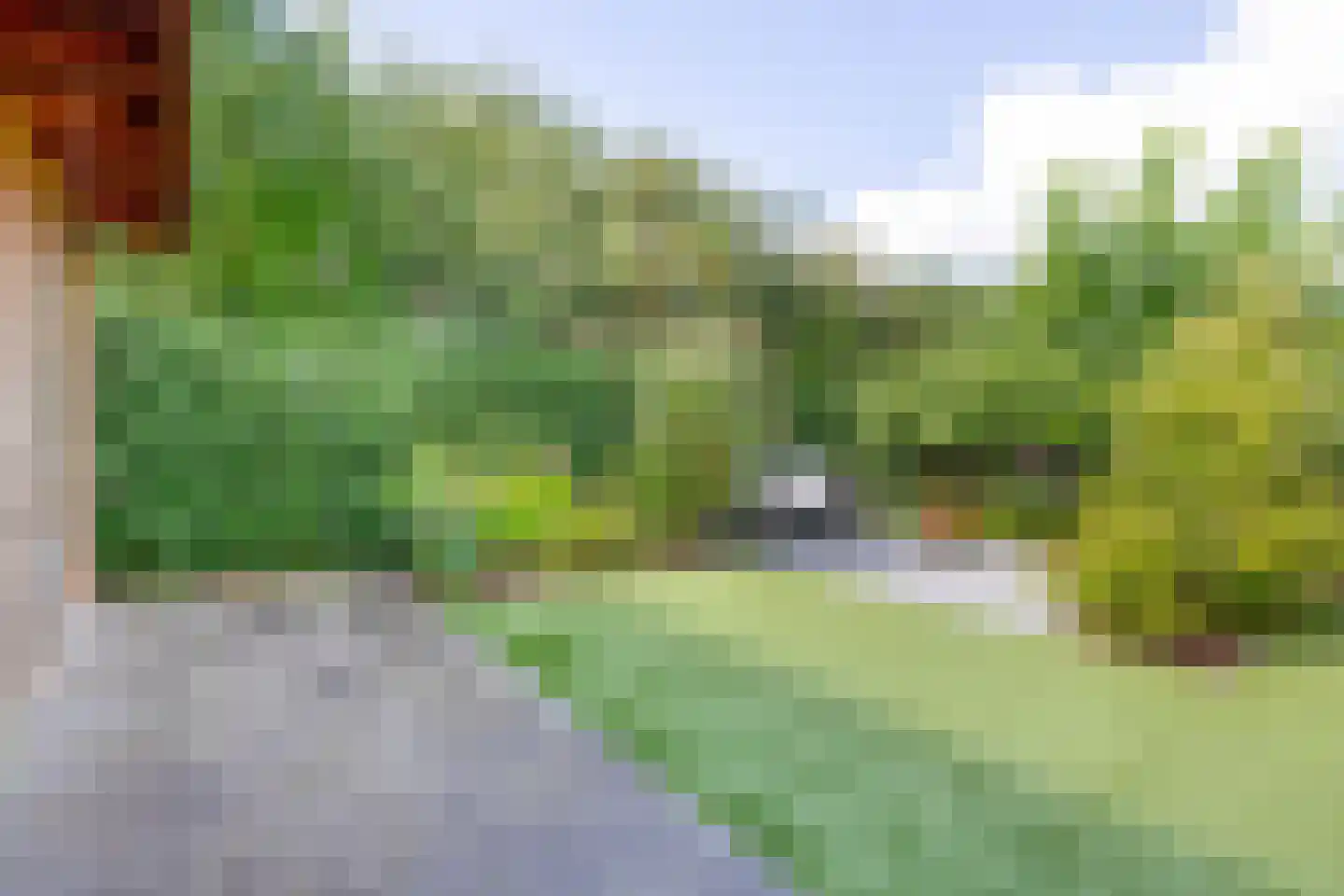 Vederkruid 8 Meerstad thumbnail 27
