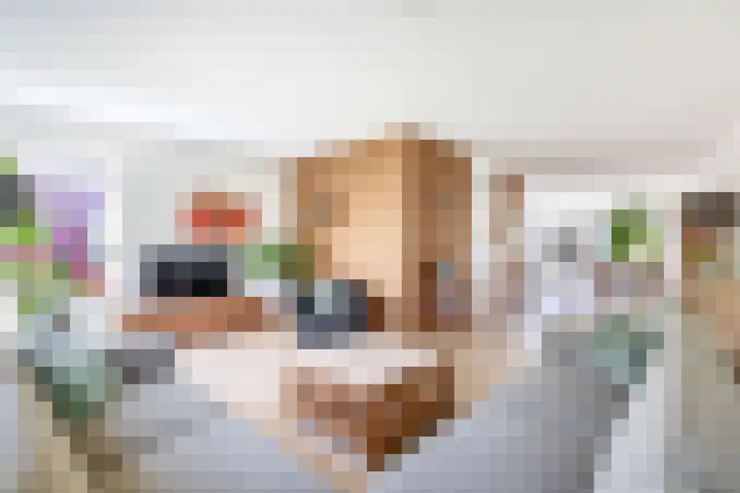 Vederkruid 8 Meerstad foto 3