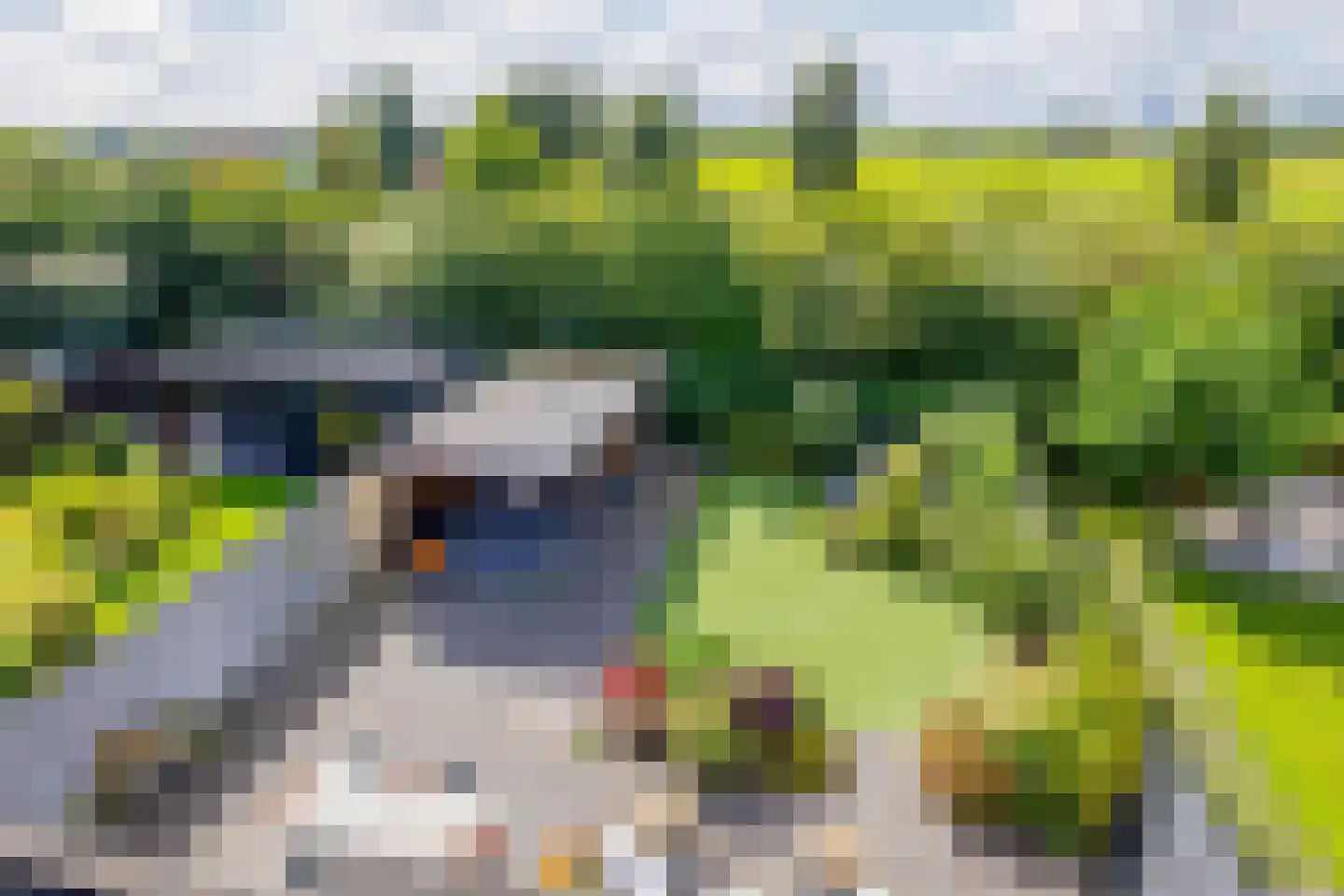 Vederkruid 8 Meerstad thumbnail 32