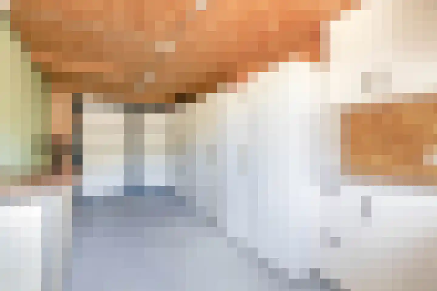 Vederkruid 8 Meerstad thumbnail 33