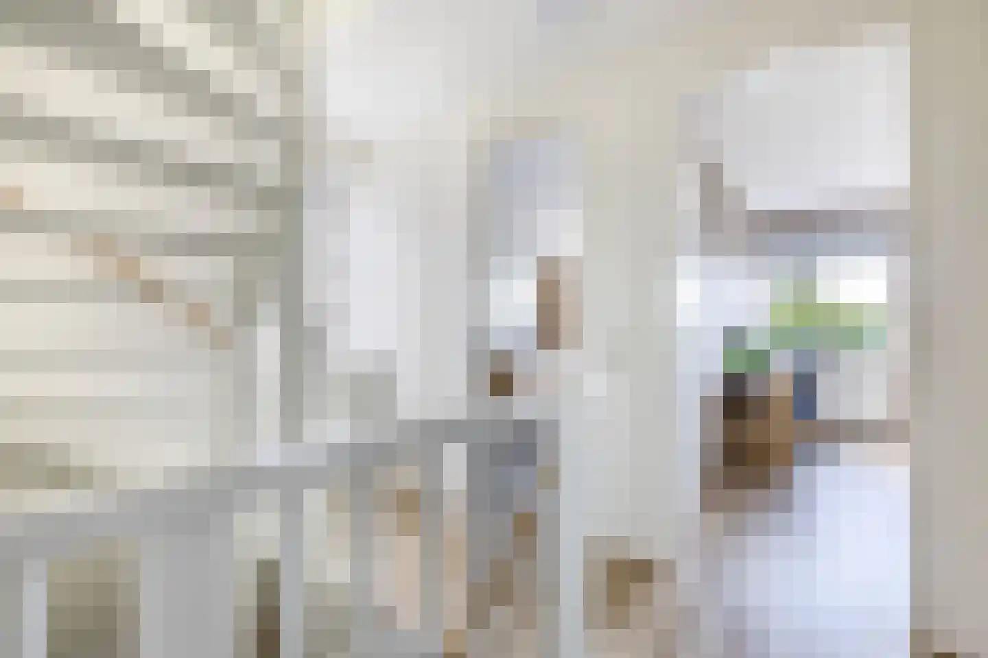 Vederkruid 8 Meerstad thumbnail 37
