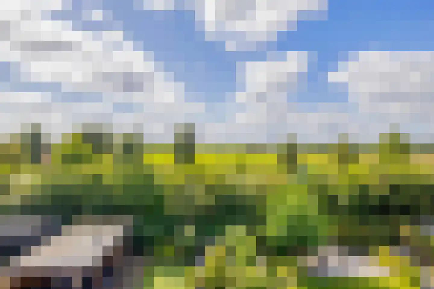 Vederkruid 8 Meerstad thumbnail 39