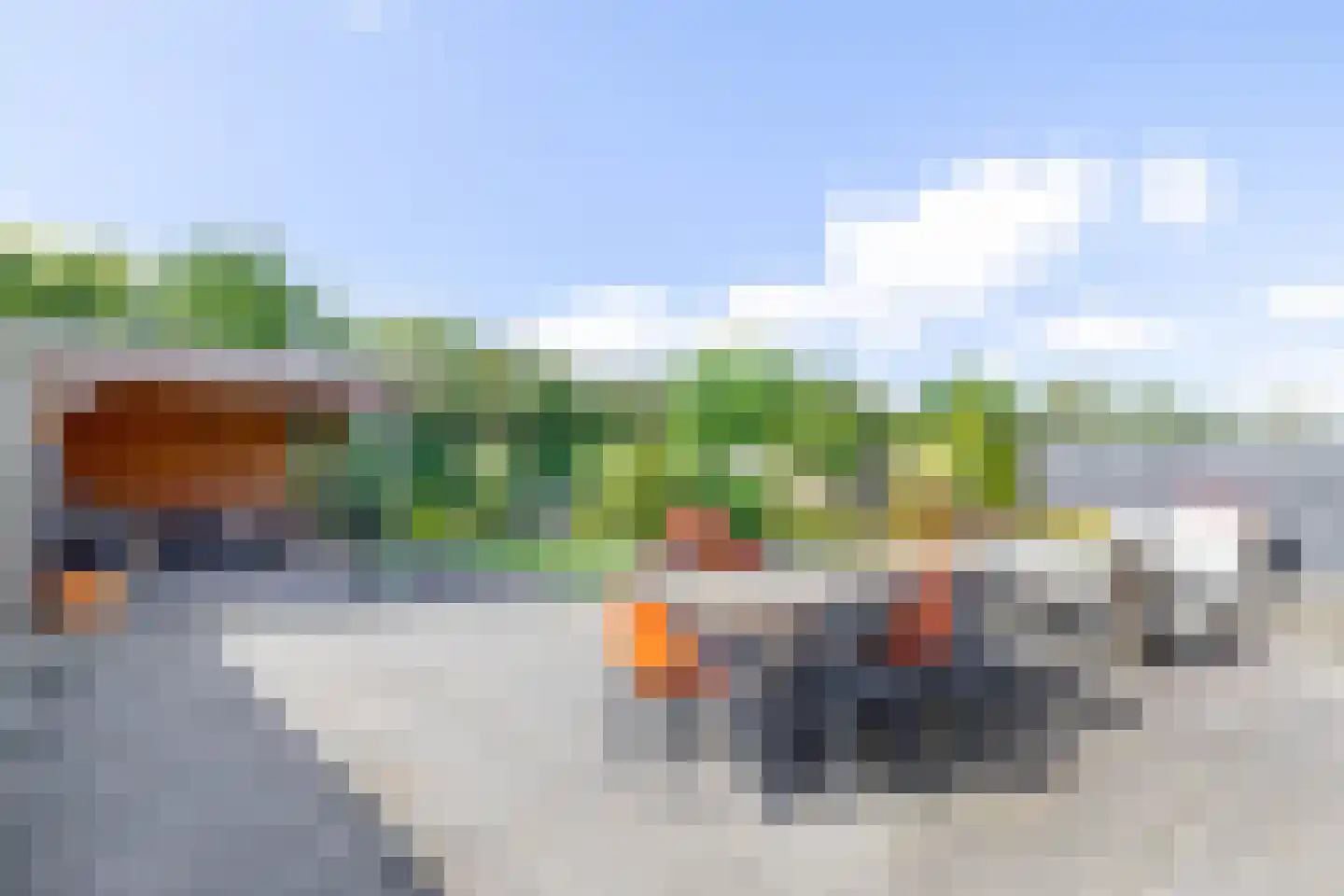 Vederkruid 8 Meerstad thumbnail 4