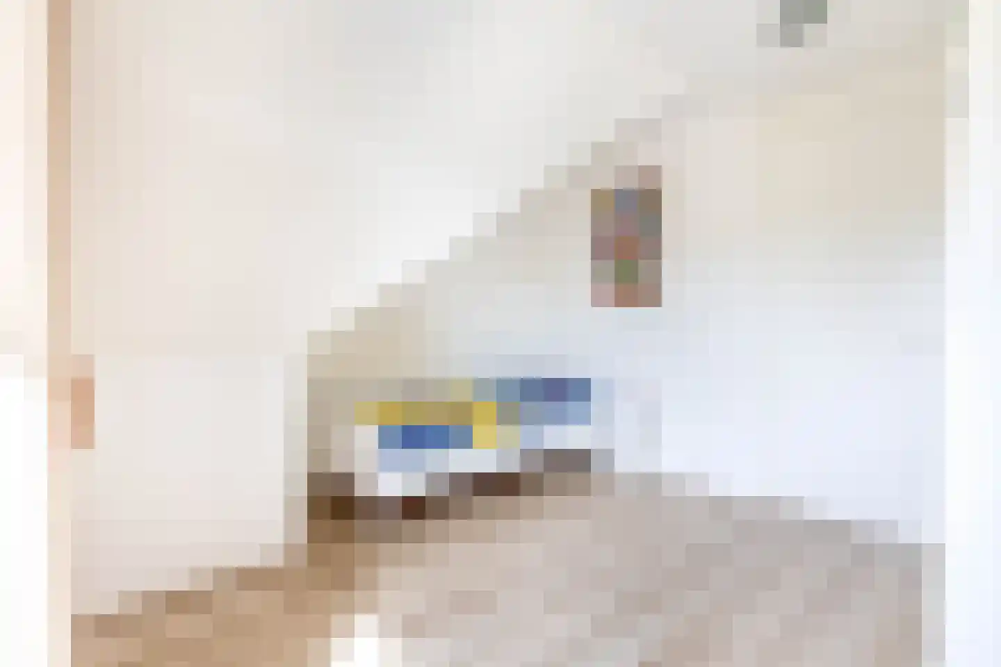 Vederkruid 8 Meerstad thumbnail 51