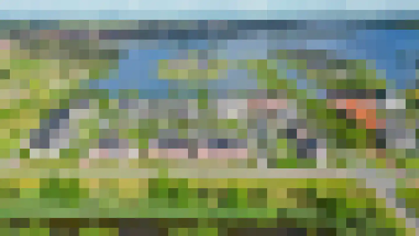 Vederkruid 8 Meerstad thumbnail 59
