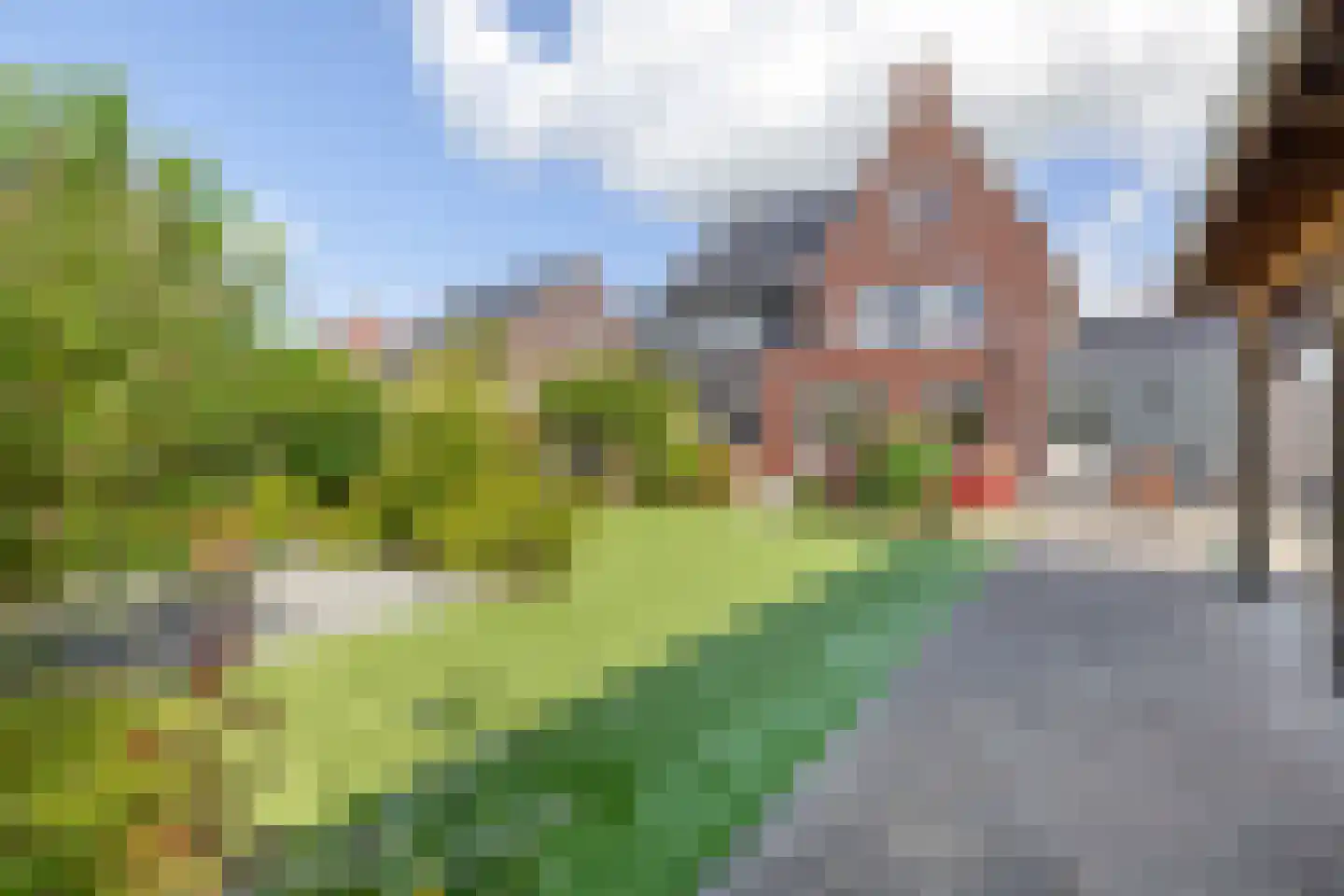 Vederkruid 8 Meerstad thumbnail 7