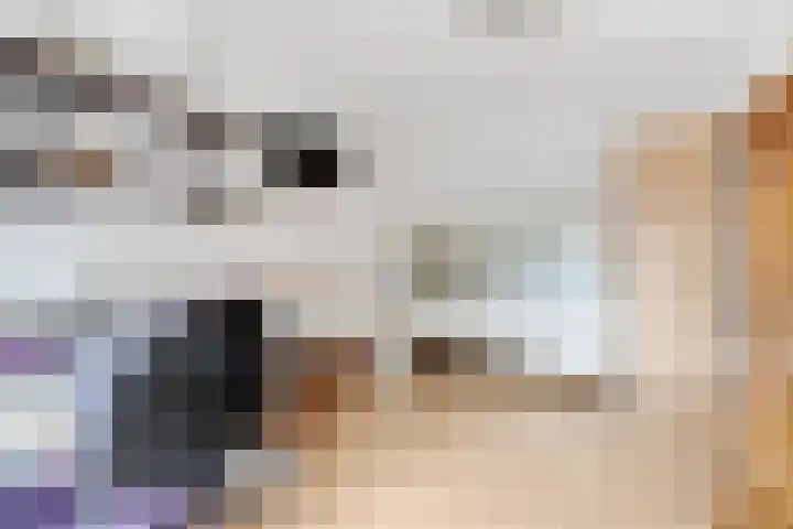 Vederkruidlaan 101 Enschede thumbnail 29