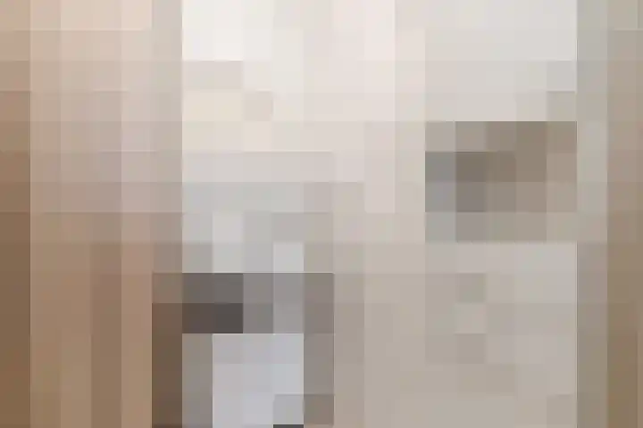 Vederkruidlaan 101 Enschede thumbnail 31