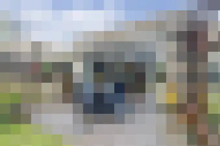 Vederkruidlaan 101 Enschede thumbnail 32