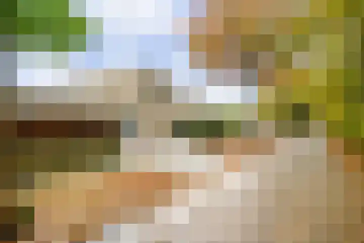 Vederkruidlaan 101 Enschede thumbnail 37