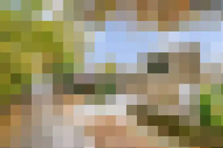 Vederkruidlaan 101 Enschede thumbnail 39